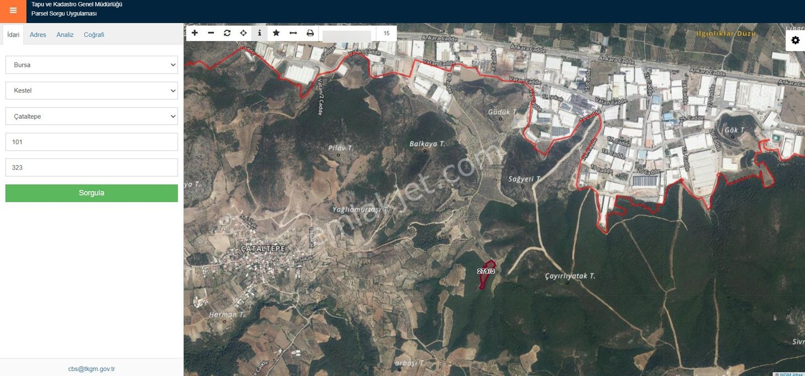 Remax Leon Kestel Çataltepe 'de Sanayiye Yakın Satılık Zeytinlik - Görsel 9