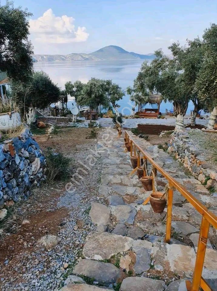 Milas Pınarcık`ta Bafa Gölüne Sıfır Satılık Restorant - Görsel 13