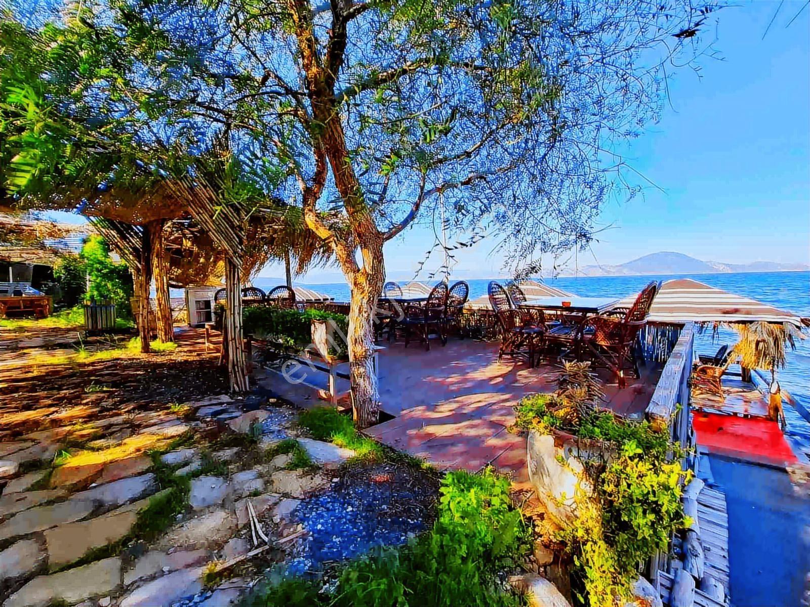Milas Pınarcık`ta Bafa Gölüne Sıfır Satılık Restorant - Görsel 23