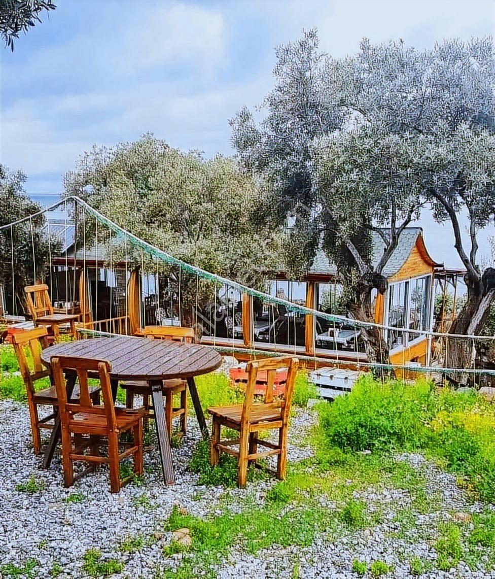 Milas Pınarcık`ta Bafa Gölüne Sıfır Satılık Restorant - Görsel 3