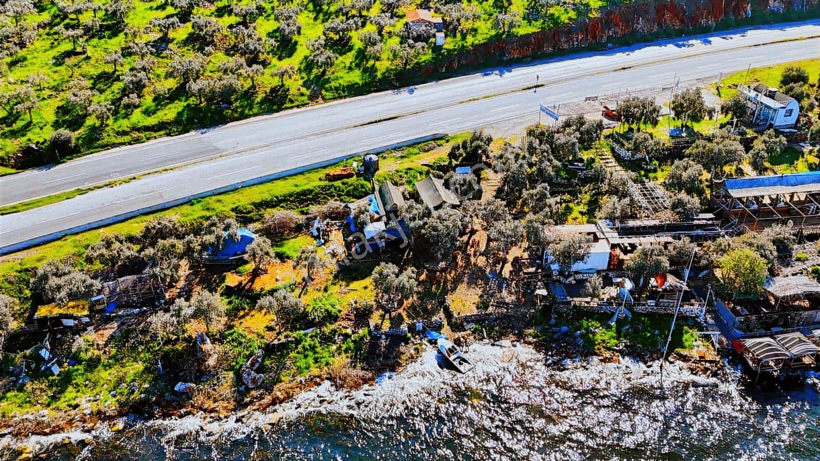 Milas Pınarcık`ta Bafa Gölüne Sıfır Satılık Restorant - Görsel 28