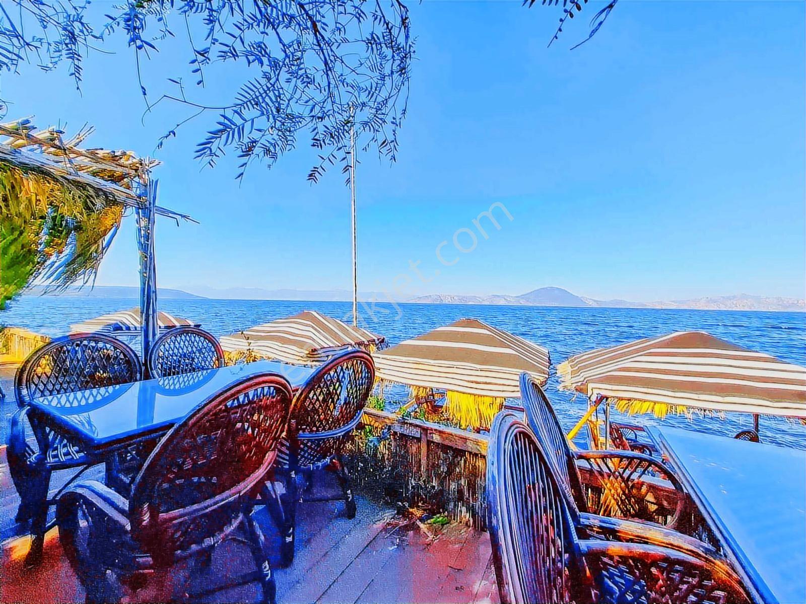 Milas Pınarcık`ta Bafa Gölüne Sıfır Satılık Restorant - Görsel 17