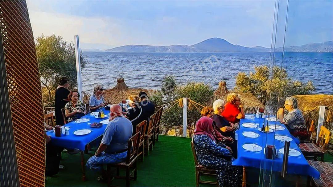 Milas Pınarcık`ta Bafa Gölüne Sıfır Satılık Restorant - Görsel 16