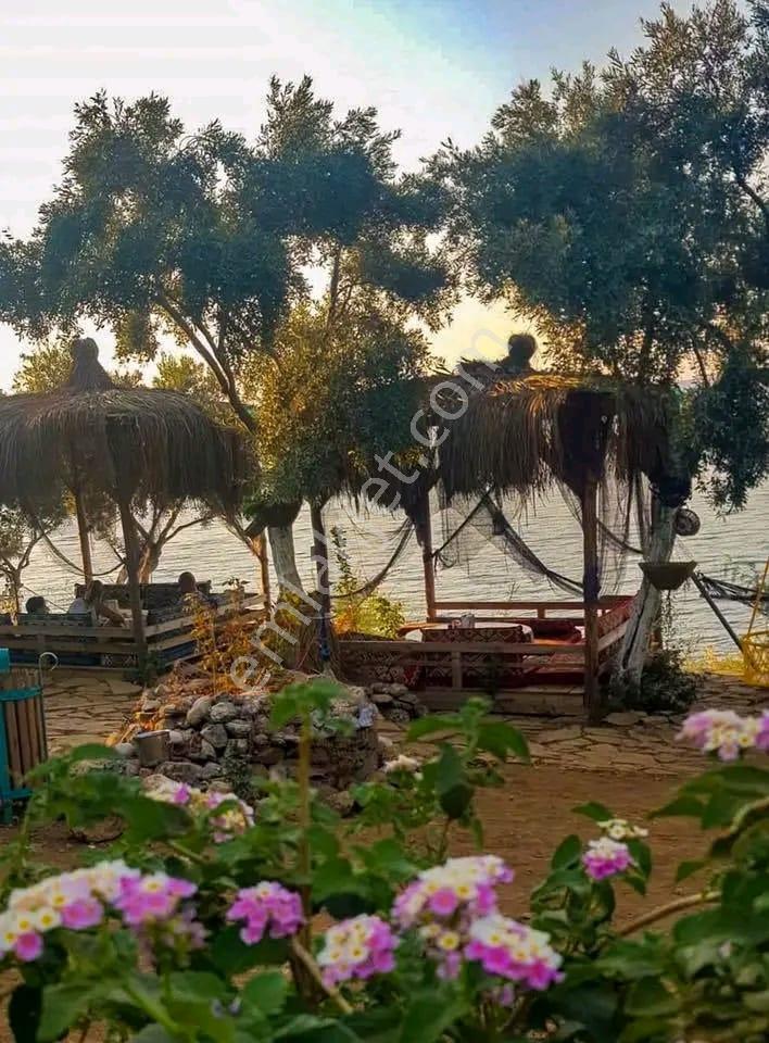 Milas Pınarcık`ta Bafa Gölüne Sıfır Satılık Restorant - Görsel 10