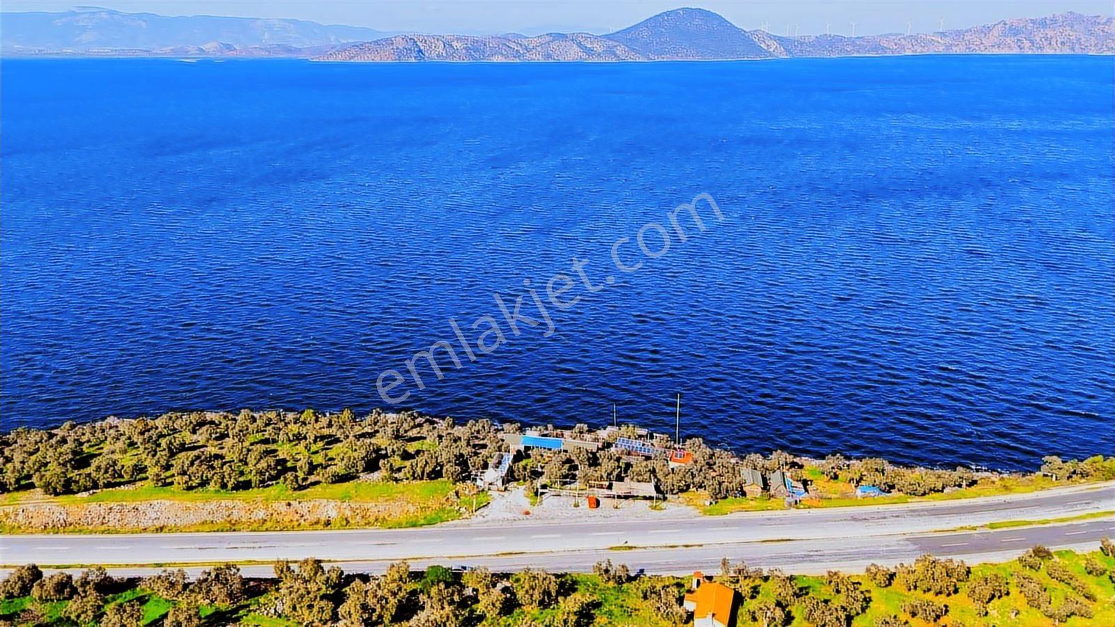 Milas Pınarcık`ta Bafa Gölüne Sıfır Satılık Restorant - Görsel 7