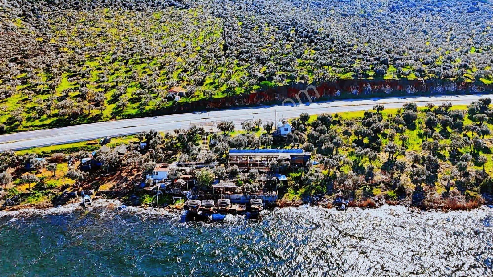 Milas Pınarcık`ta Bafa Gölüne Sıfır Satılık Restorant - Görsel 22