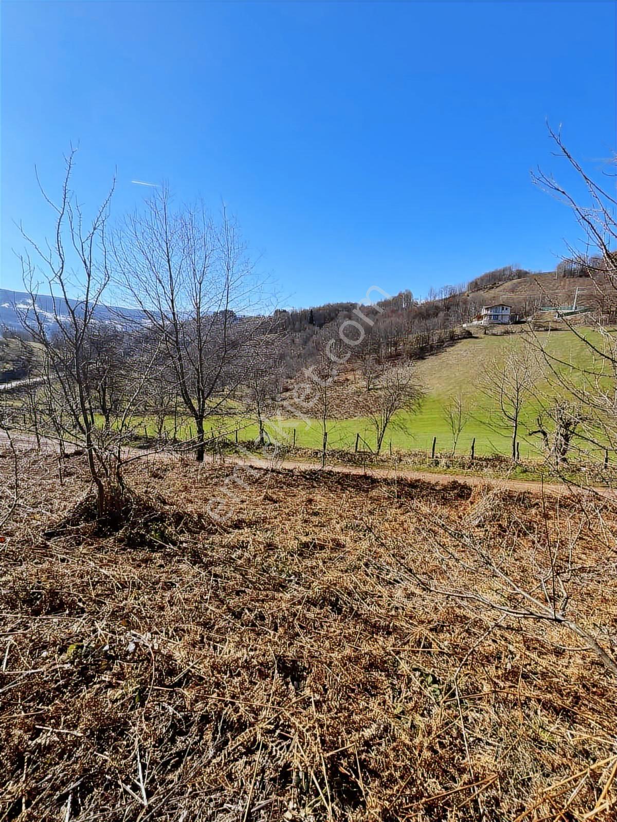 Ruşen Aydın Gyd'dan Kaynaşlı Dipsizgöl'de Satılık Arsalar - Görsel 22