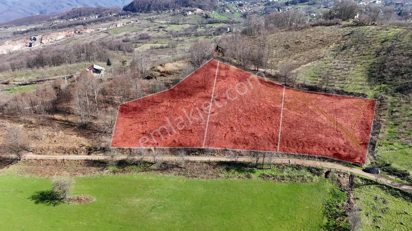 Ruşen Aydın Gyd'dan Kaynaşlı Dipsizgöl'de Satılık Arsalar - Görsel 12