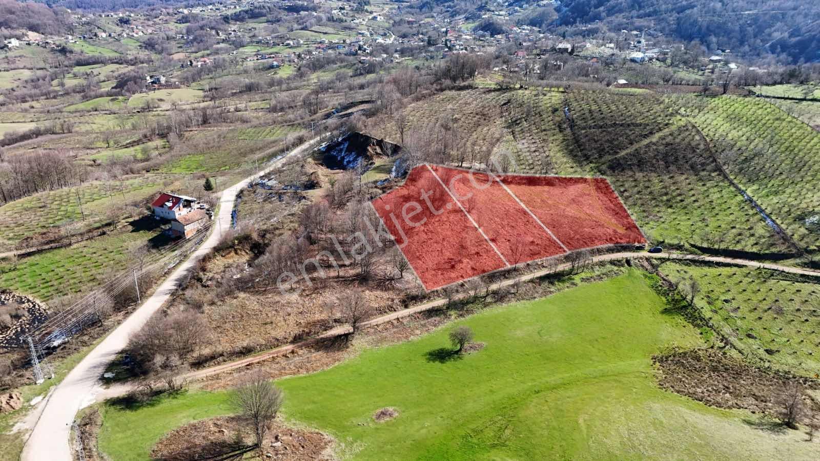 Ruşen Aydın Gyd'dan Kaynaşlı Dipsizgöl'de Satılık Arsalar - Görsel 10