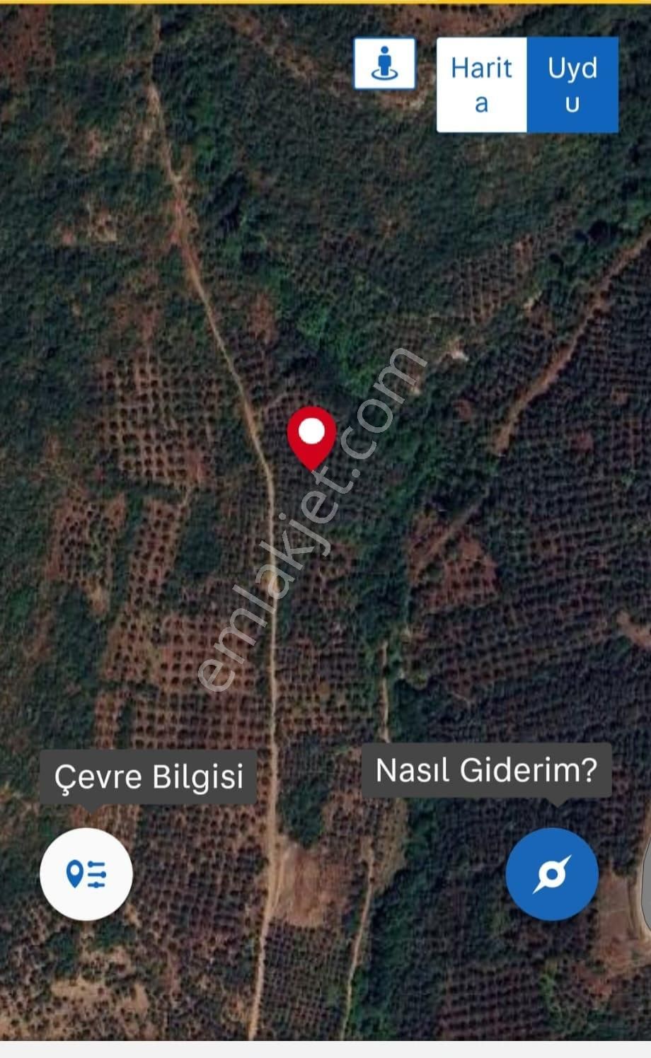 Bursa Orhangazi Çakırlı Köyü Satılık Tarla