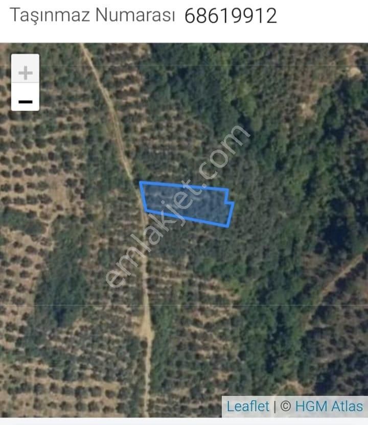Bursa Orhangazi Çakırlı Köyü Satılık Tarla - Görsel 2