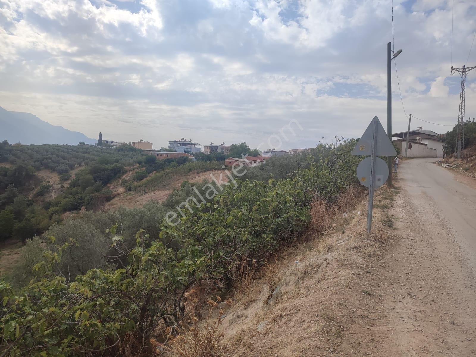 Remax Leon Kestel Çataltepe 'de Satılık Kısmi İmarlı Zeytinlik - Görsel 5