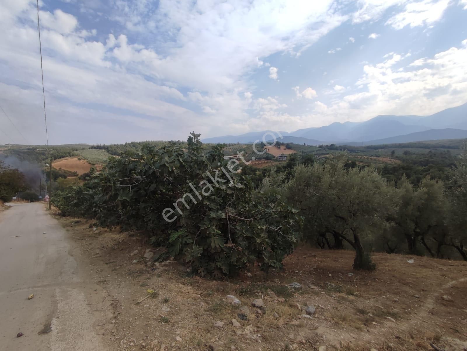 Remax Leon Kestel Çataltepe 'de Satılık Kısmi İmarlı Zeytinlik - Görsel 14