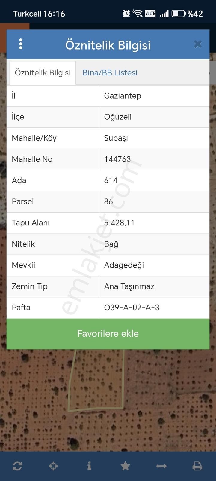 Oğuzeli Subaşında Fıstık Zeytin Bahçesi - Görsel 5