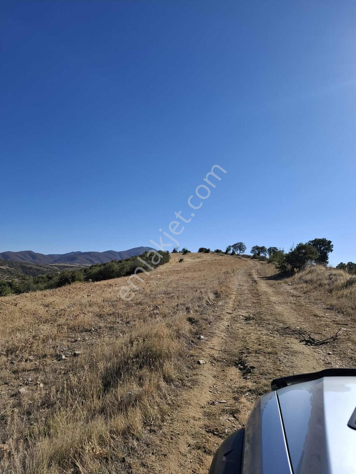 Yatırım Fırsatı: Manisa Kula Aktaşta 17.500 M² Arazi - Görsel 7