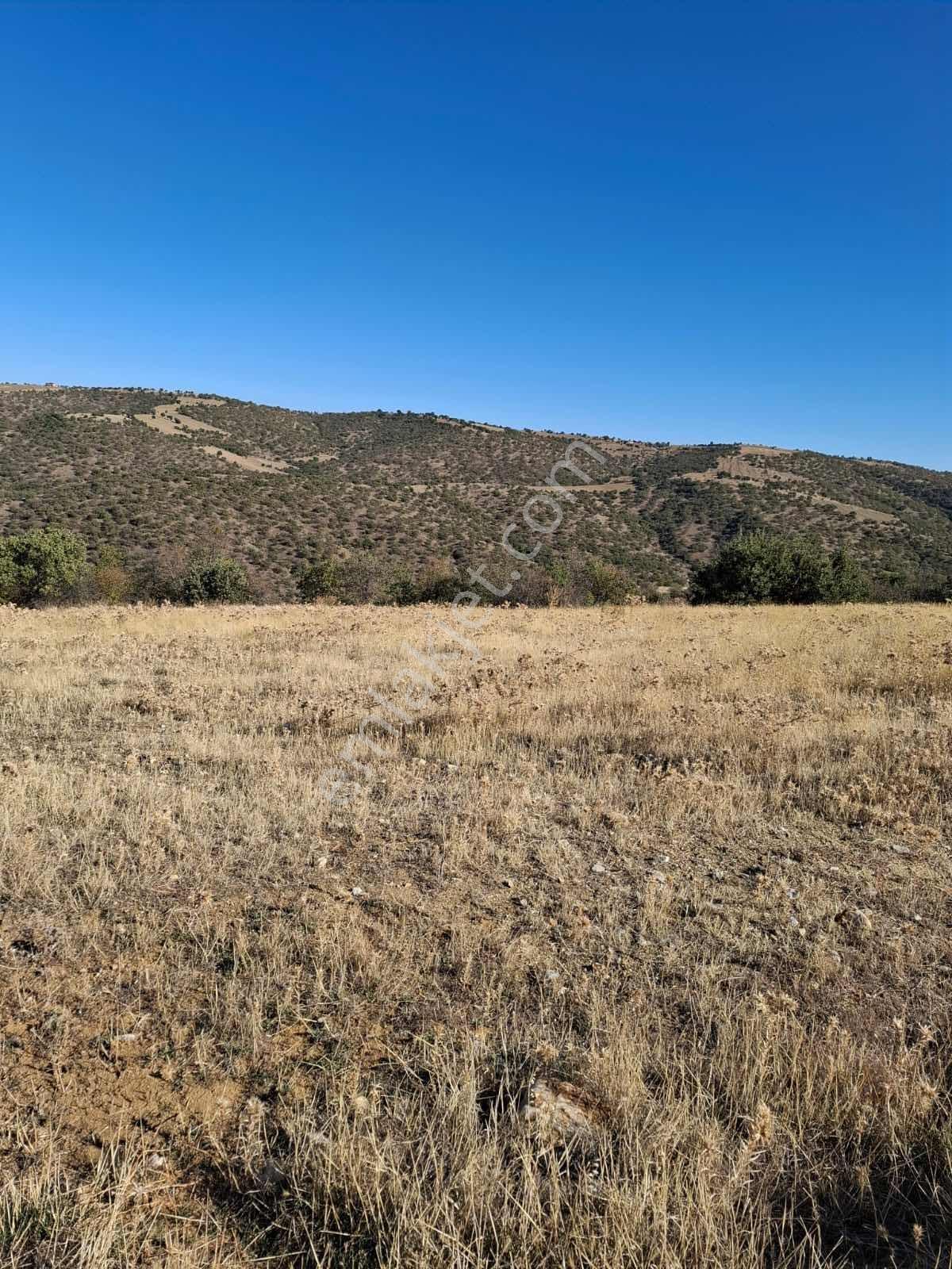 Yatırım Fırsatı: Manisa Kula Aktaşta 17.500 M² Arazi - Görsel 4