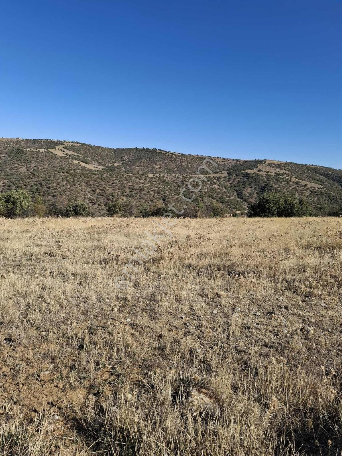 Yatırım Fırsatı: Manisa Kula Aktaşta 17.500 M² Arazi - Görsel 5