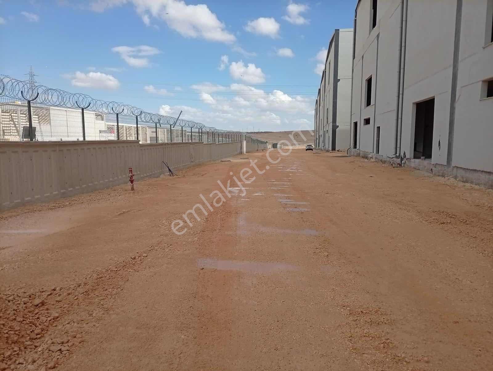 Baron Dan Fıstıkçılarda 750 M2 Fırsat İşyeri - Görsel 4