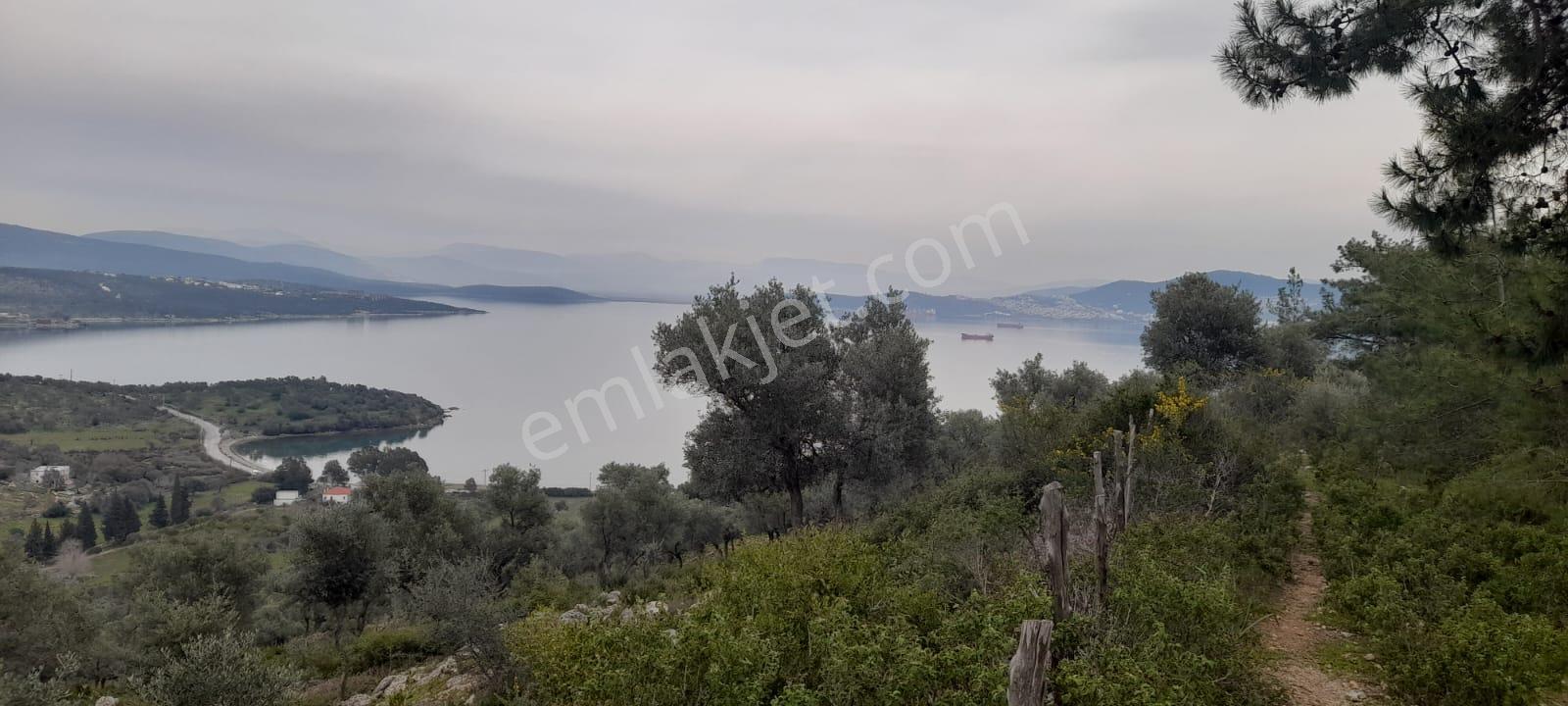 Milas Kıyıkışlaçık'da Satılık İmarlı Arsa - Görsel 9