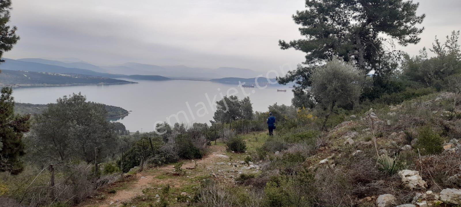 Milas Kıyıkışlaçık'da Satılık İmarlı Arsa - Görsel 10
