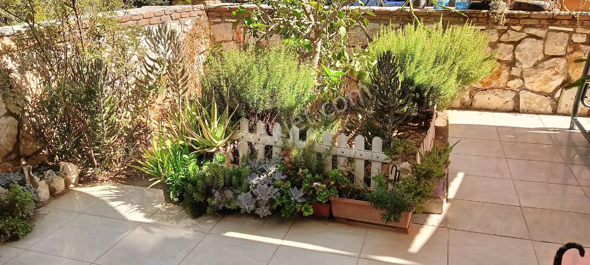 3+1 Bahçe Dubleksi - Görsel 17