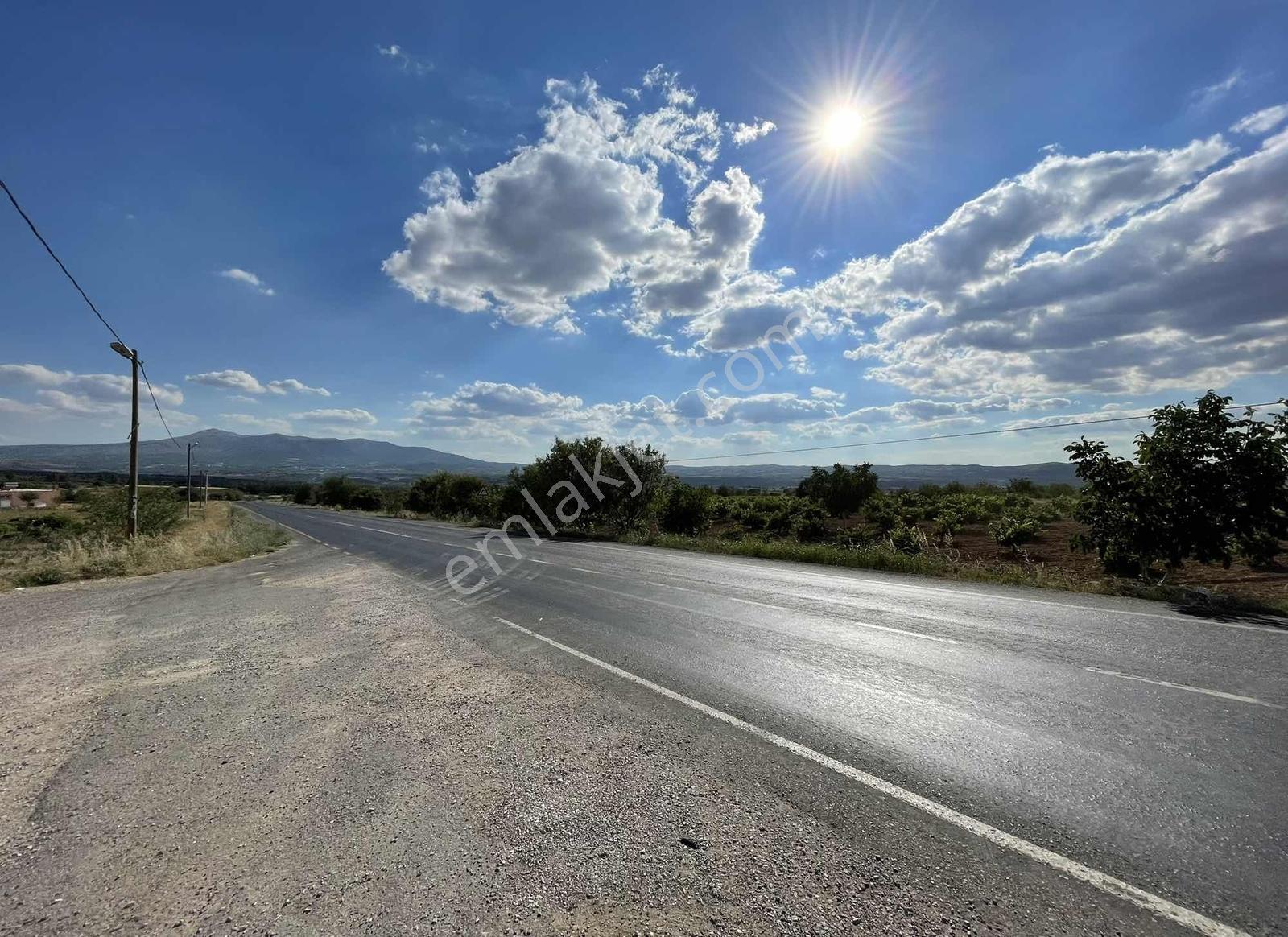 Denizli-izmir Yolu Üzeri Satılık Bağ - Görsel 11