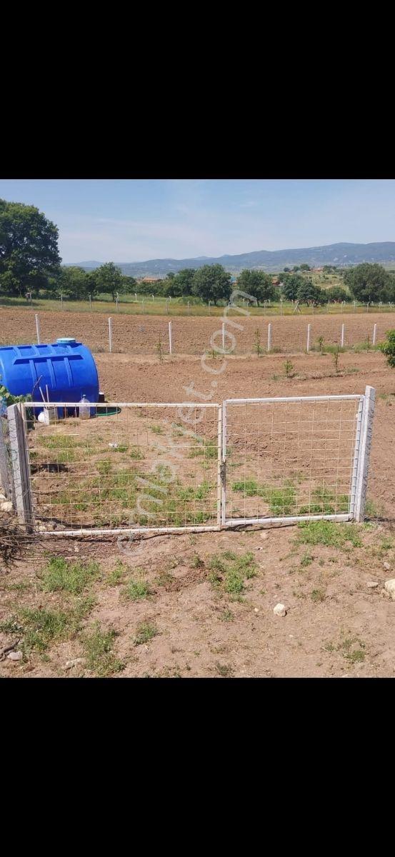 Gökçeyazı Köseağalar Mevki Satılık 2812 M2 Hobi Bahçesi