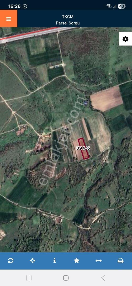 Gökçeyazı Köseağalar Mevki Satılık 2812 M2 Hobi Bahçesi - Görsel 17
