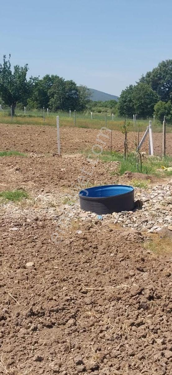 Gökçeyazı Köseağalar Mevki Satılık 2812 M2 Hobi Bahçesi - Görsel 14
