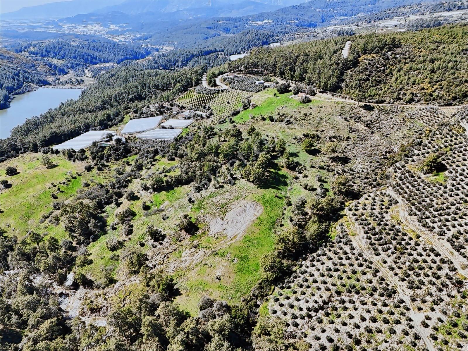07 Truva Emlaktan Kumluca İncircik Köyünde Satılık Tarla - Görsel 27