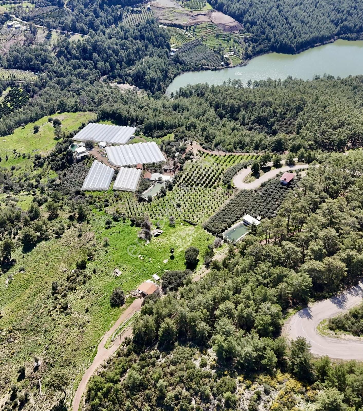 07 Truva Emlaktan Kumluca İncircik Köyünde Satılık Tarla - Görsel 17