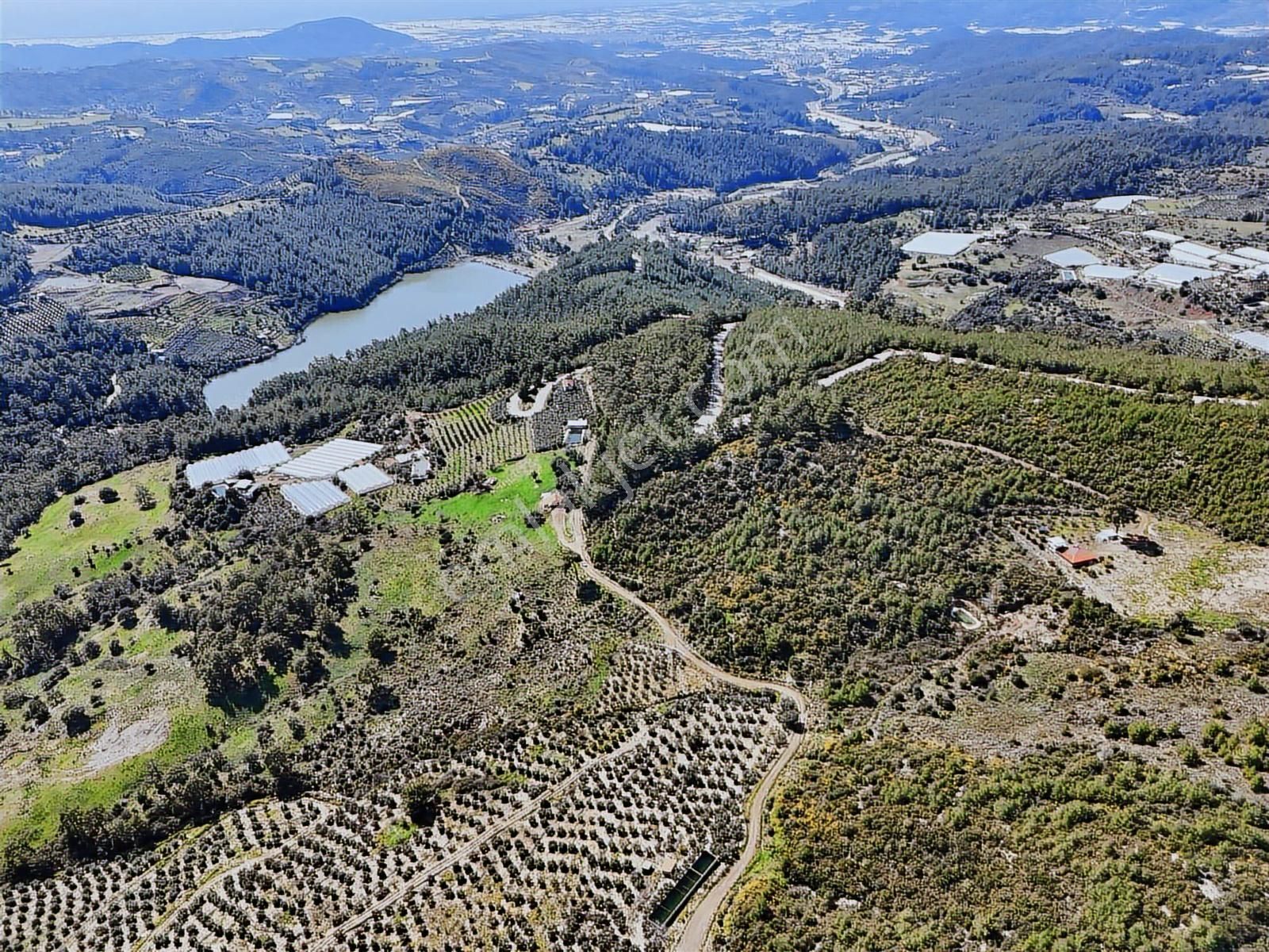 07 Truva Emlaktan Kumluca İncircik Köyünde Satılık Tarla - Görsel 8
