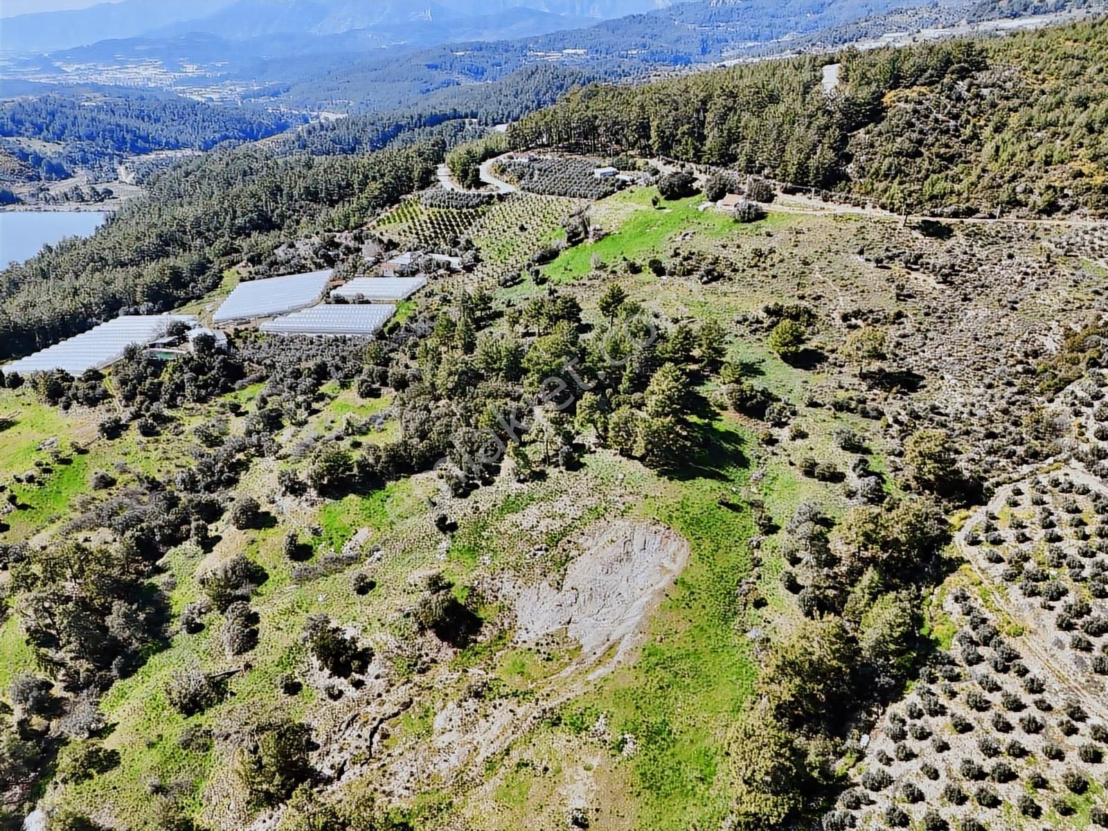 07 Truva Emlaktan Kumluca İncircik Köyünde Satılık Tarla - Görsel 19