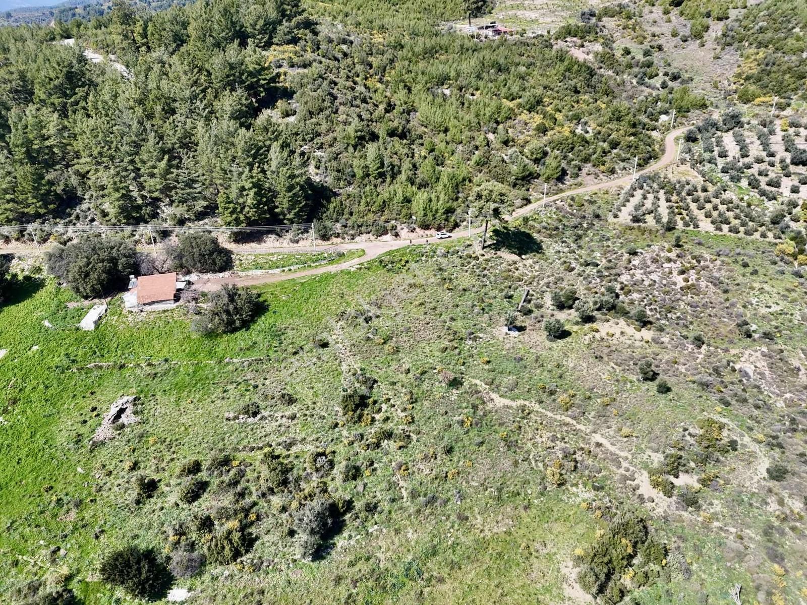 07 Truva Emlaktan Kumluca İncircik Köyünde Satılık Tarla - Görsel 18