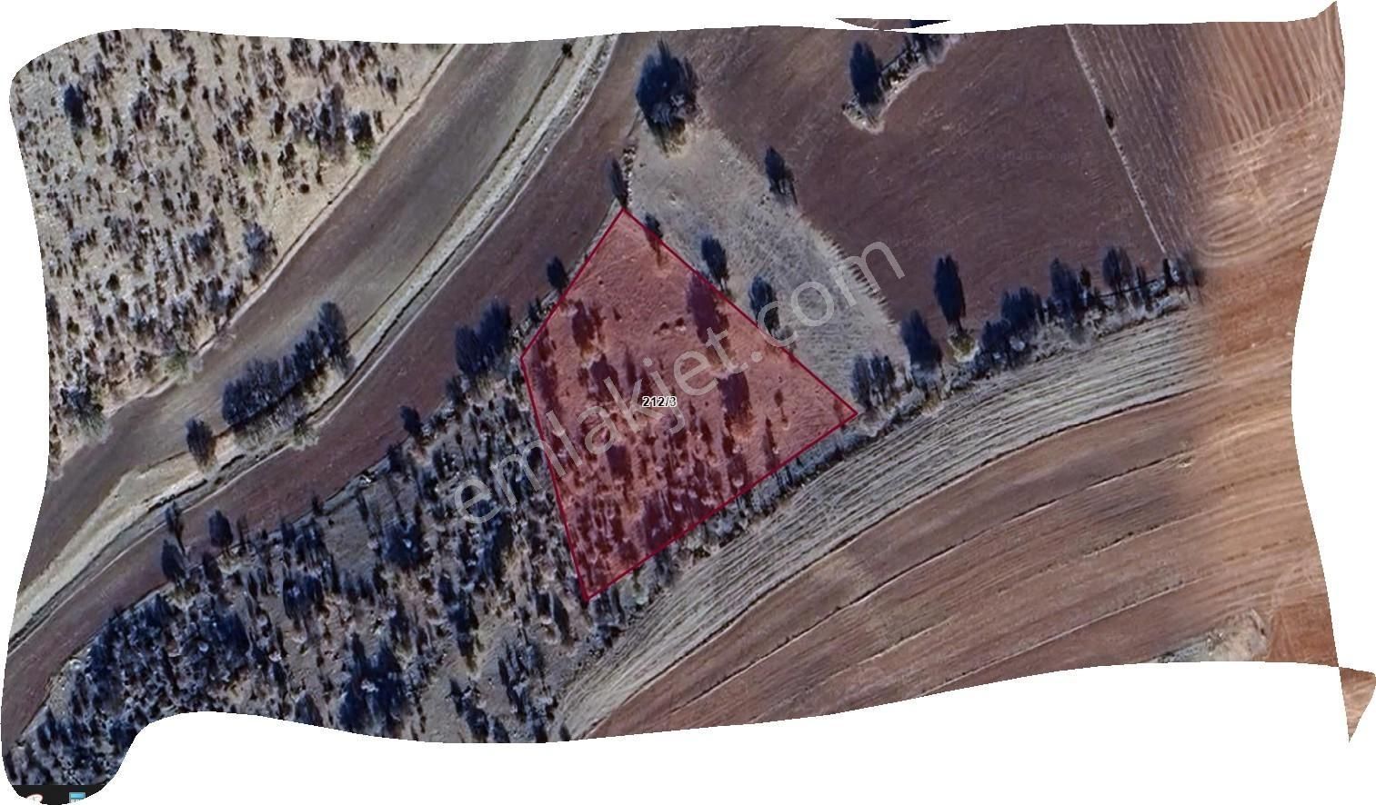 Özpınar.dan Konya Çumra Afşar Mah. Satılık Tarla 4530 M2. - Görsel 2