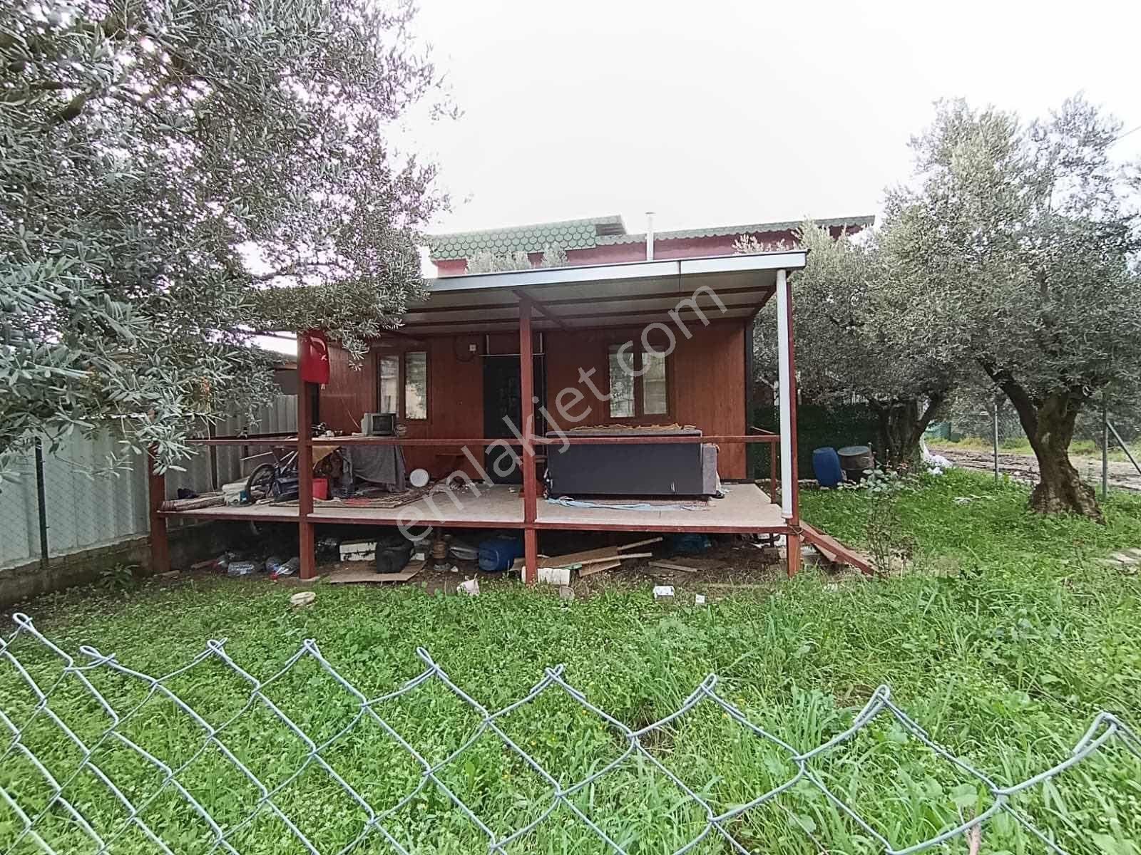 Aradığınız Huzur Ve Doğal Yaşam Fırsatı Burada !!! - Görsel 22
