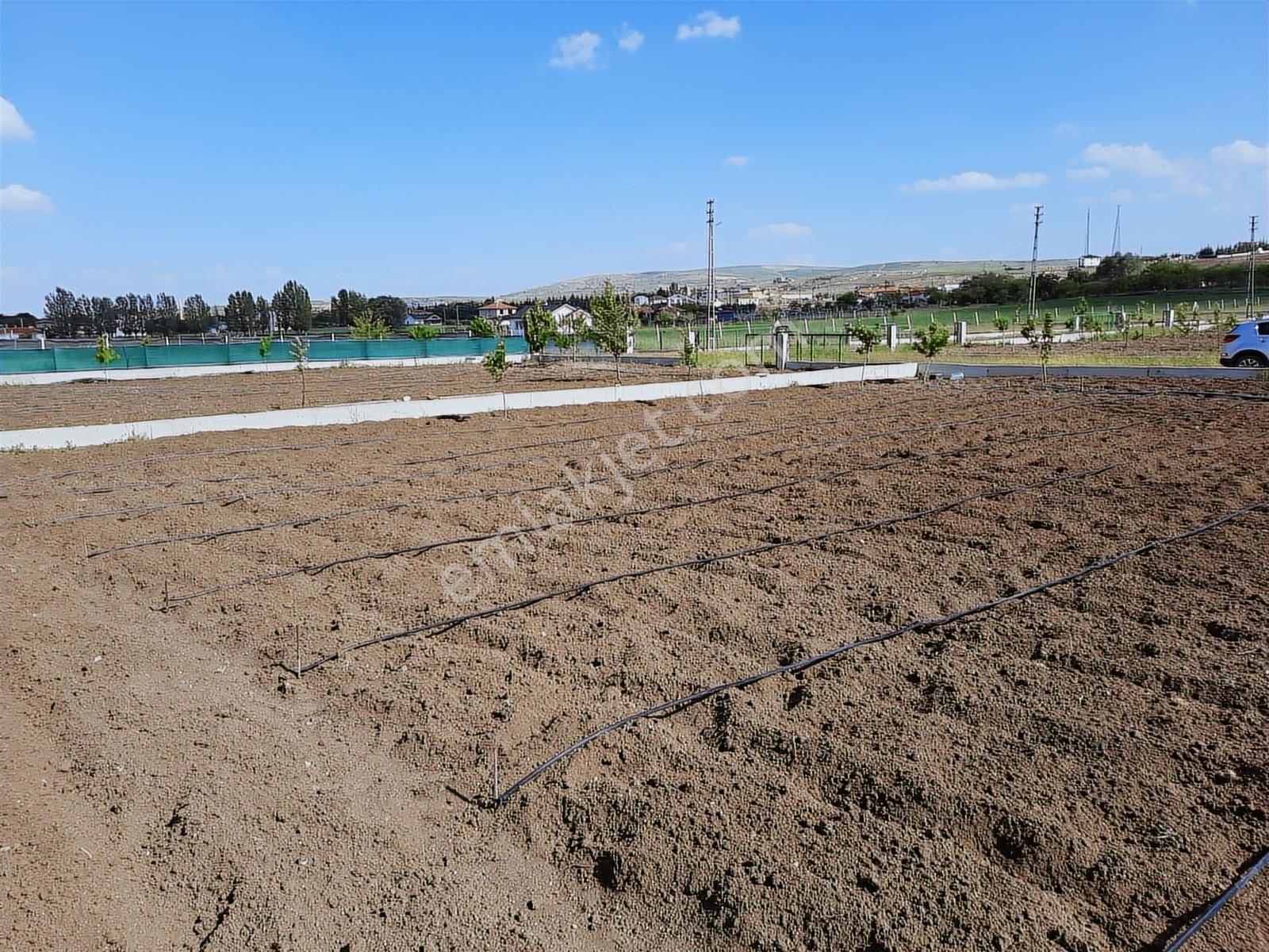 Gölbaşı Oyaca Köy Merkezine Yakın Satılık Arsa - Görsel 6