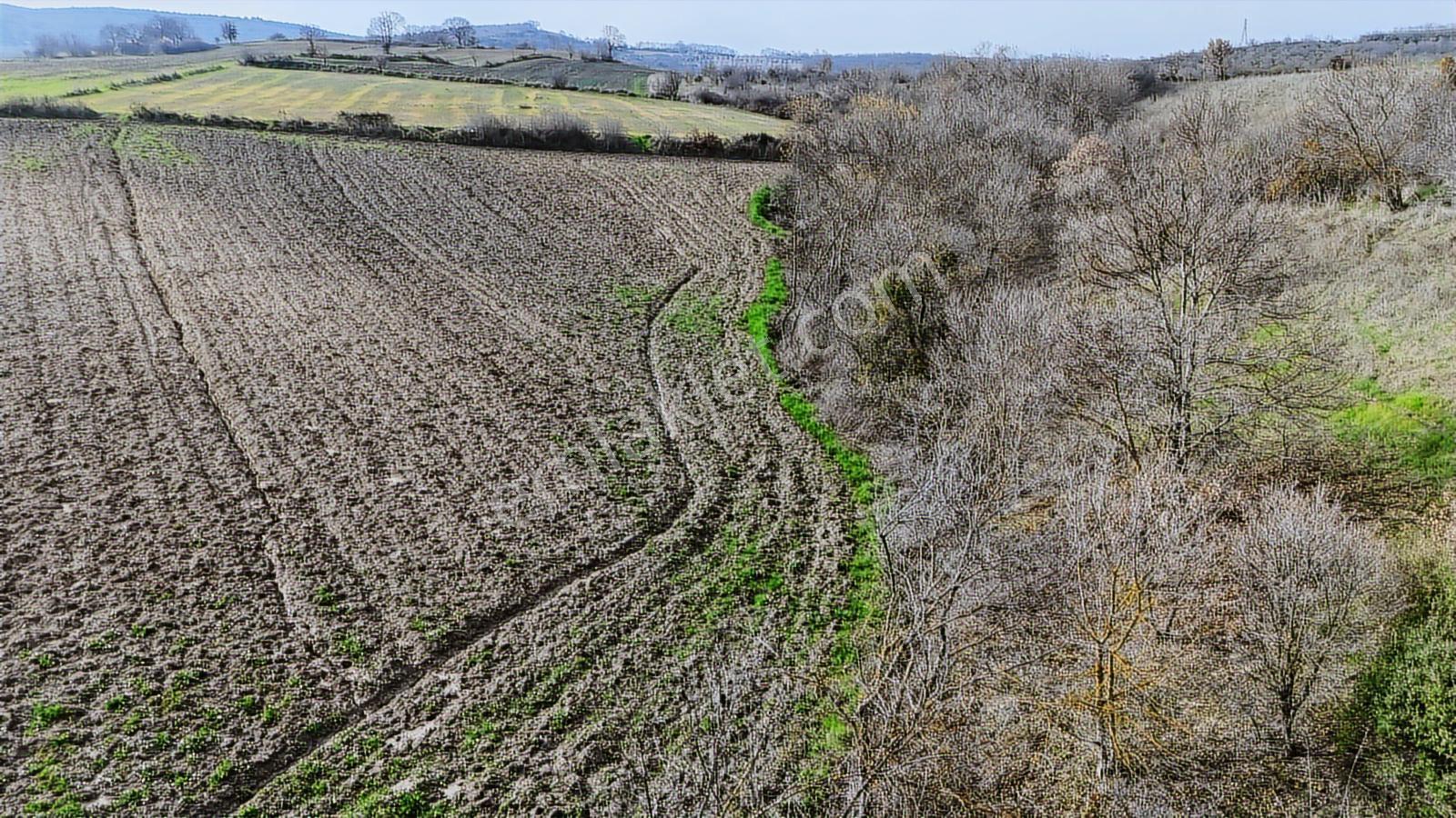 Yatırımlık 11.700 M² Tek Tapu Tarla, Köye 650 M Yatırımlık Tarla - Görsel 8