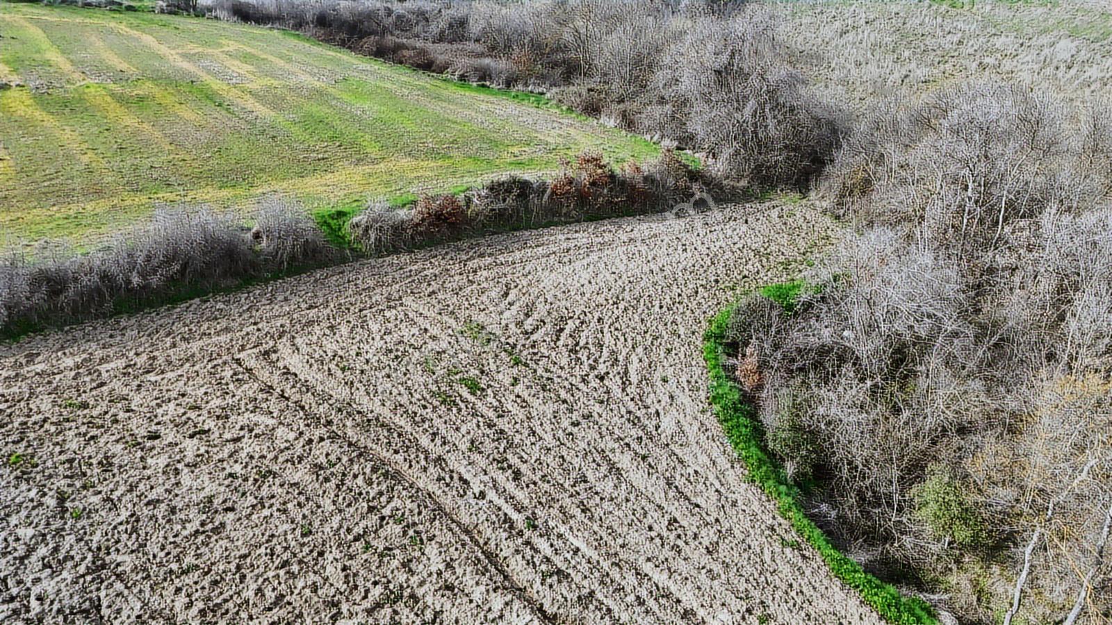 Yatırımlık 11.700 M² Tek Tapu Tarla, Köye 650 M Yatırımlık Tarla - Görsel 3