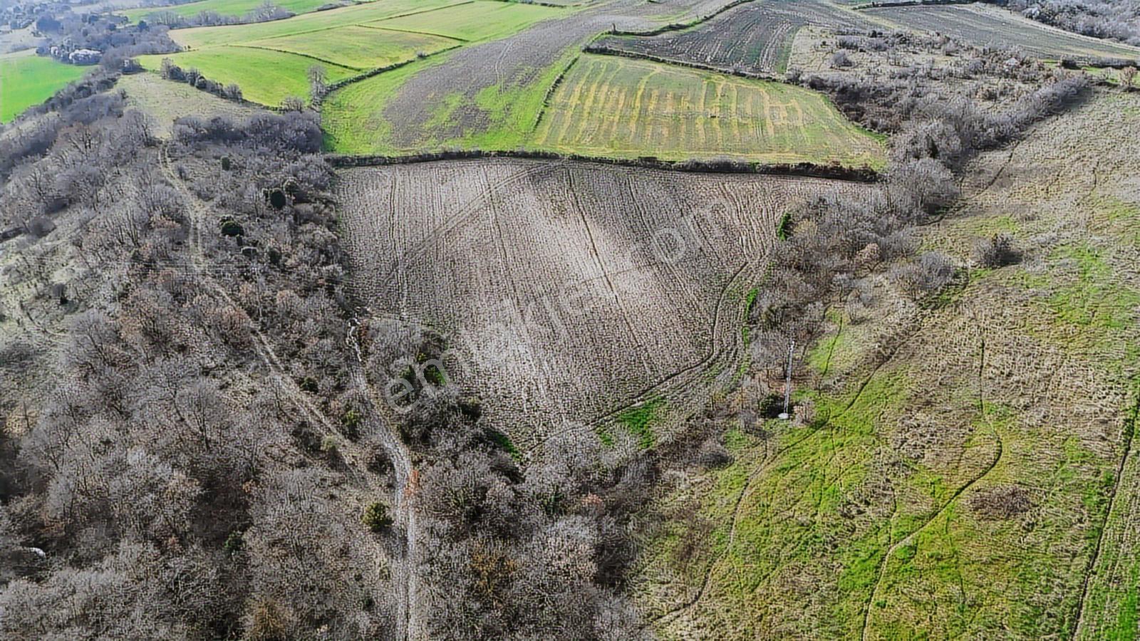 Yatırımlık 11.700 M² Tek Tapu Tarla, Köye 650 M Yatırımlık Tarla - Görsel 21