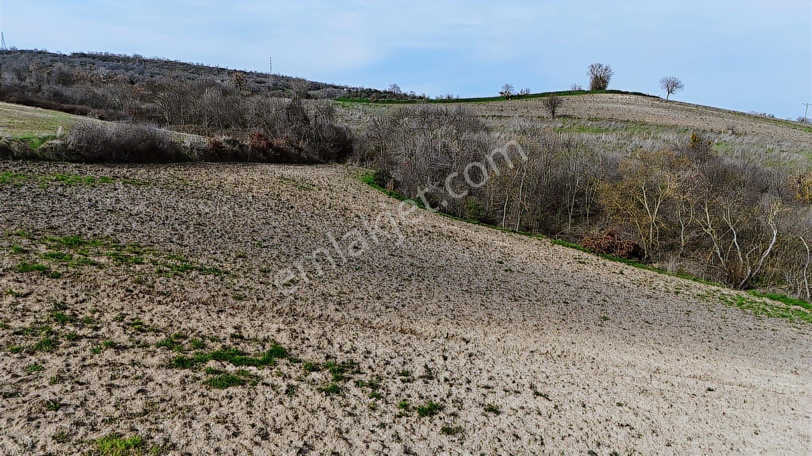 Yatırımlık 11.700 M² Tek Tapu Tarla, Köye 650 M Yatırımlık Tarla - Görsel 25