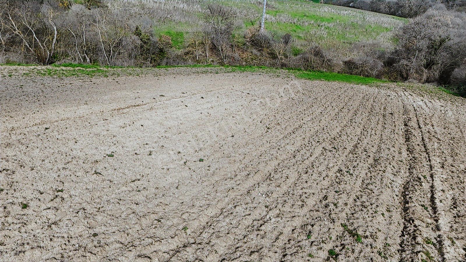 Yatırımlık 11.700 M² Tek Tapu Tarla, Köye 650 M Yatırımlık Tarla - Görsel 17