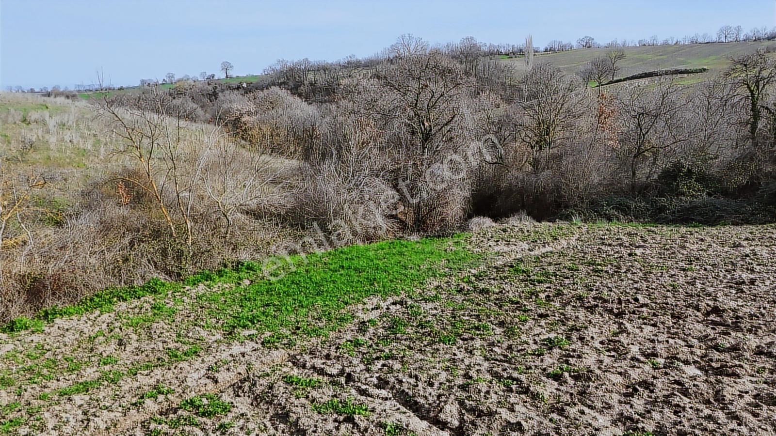 Yatırımlık 11.700 M² Tek Tapu Tarla, Köye 650 M Yatırımlık Tarla - Görsel 32