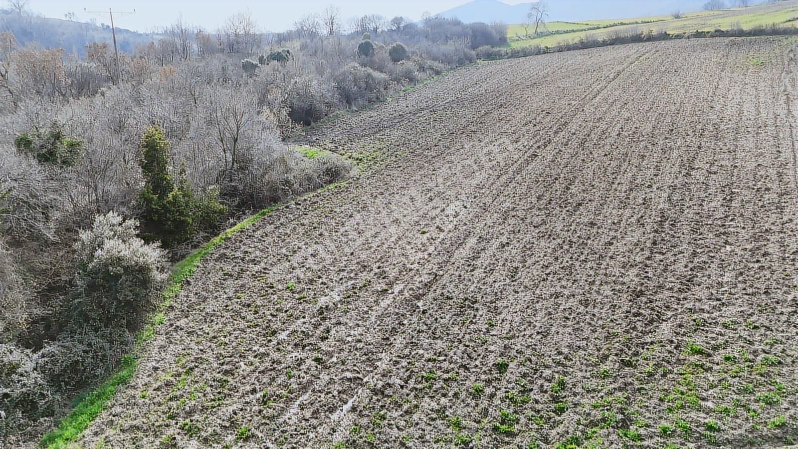 Yatırımlık 11.700 M² Tek Tapu Tarla, Köye 650 M Yatırımlık Tarla - Görsel 29