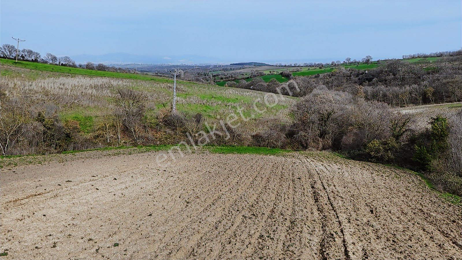 Yatırımlık 11.700 M² Tek Tapu Tarla, Köye 650 M Yatırımlık Tarla - Görsel 7