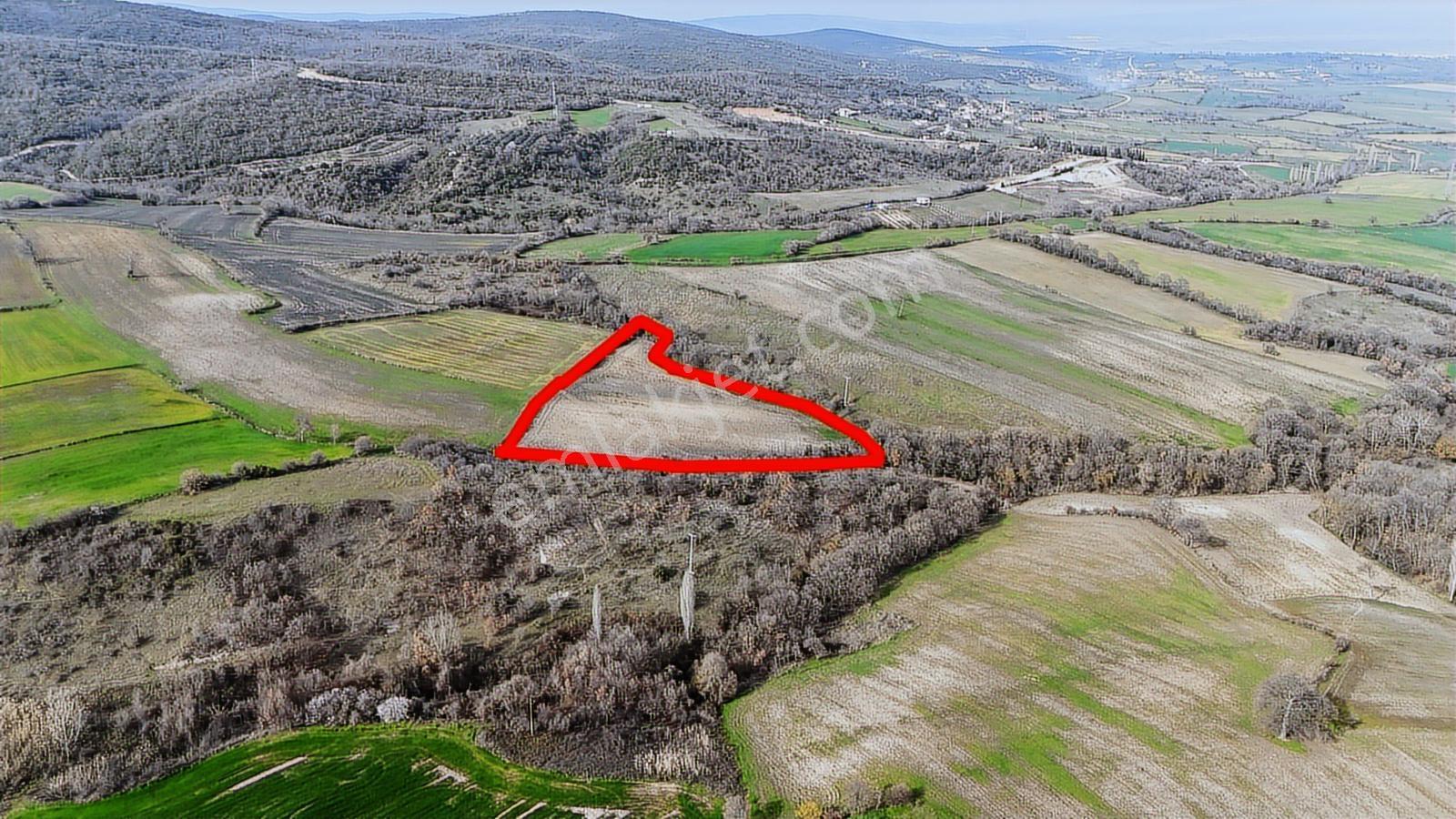Yatırımlık 11.700 M² Tek Tapu Tarla, Köye 650 M Yatırımlık Tarla - Görsel 11