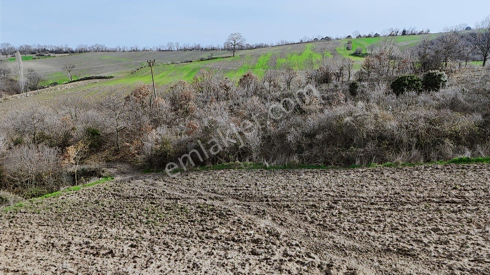 Yatırımlık 11.700 M² Tek Tapu Tarla, Köye 650 M Yatırımlık Tarla - Görsel 26