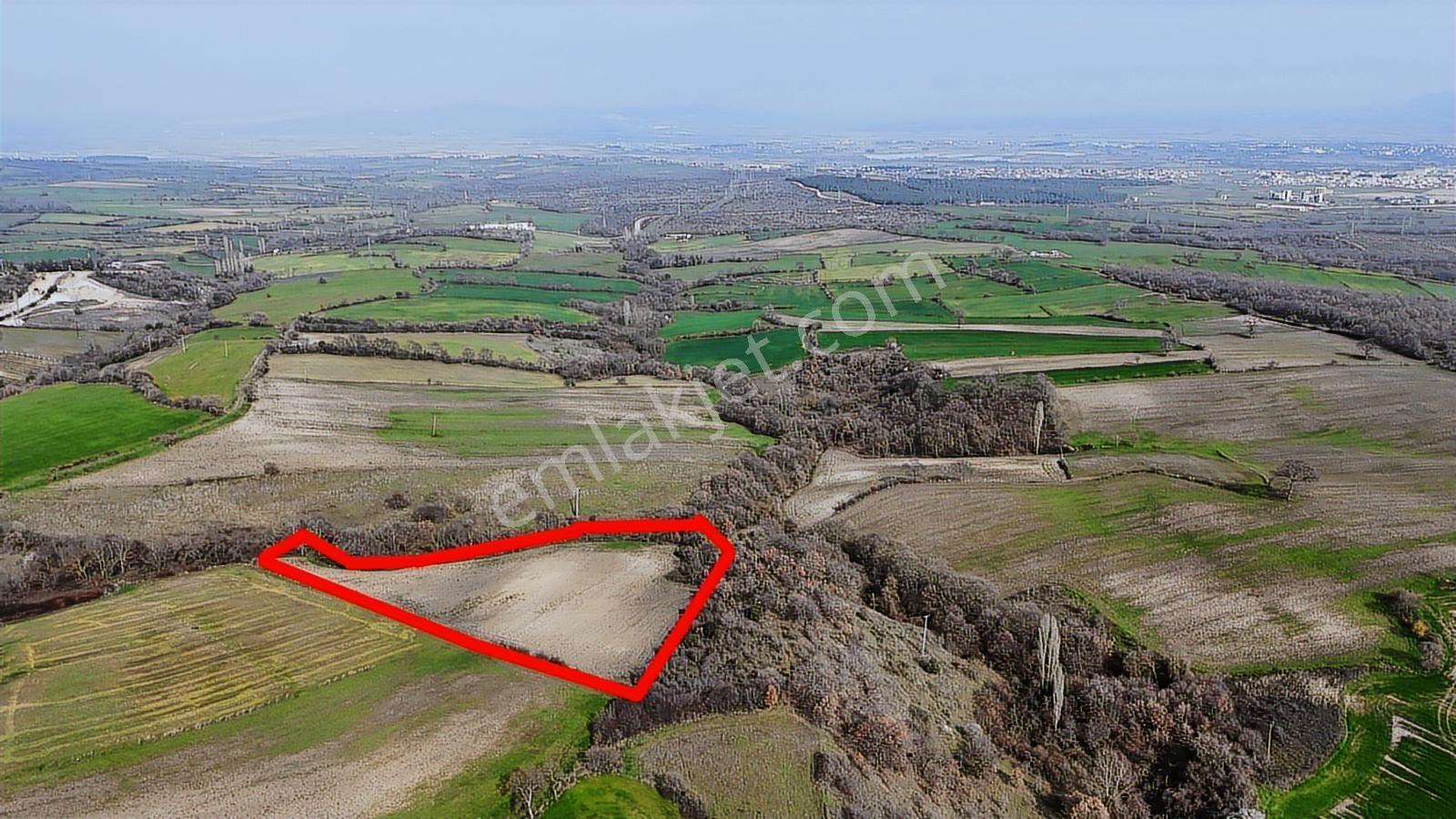 Yatırımlık 11.700 M² Tek Tapu Tarla, Köye 650 M Yatırımlık Tarla - Görsel 13