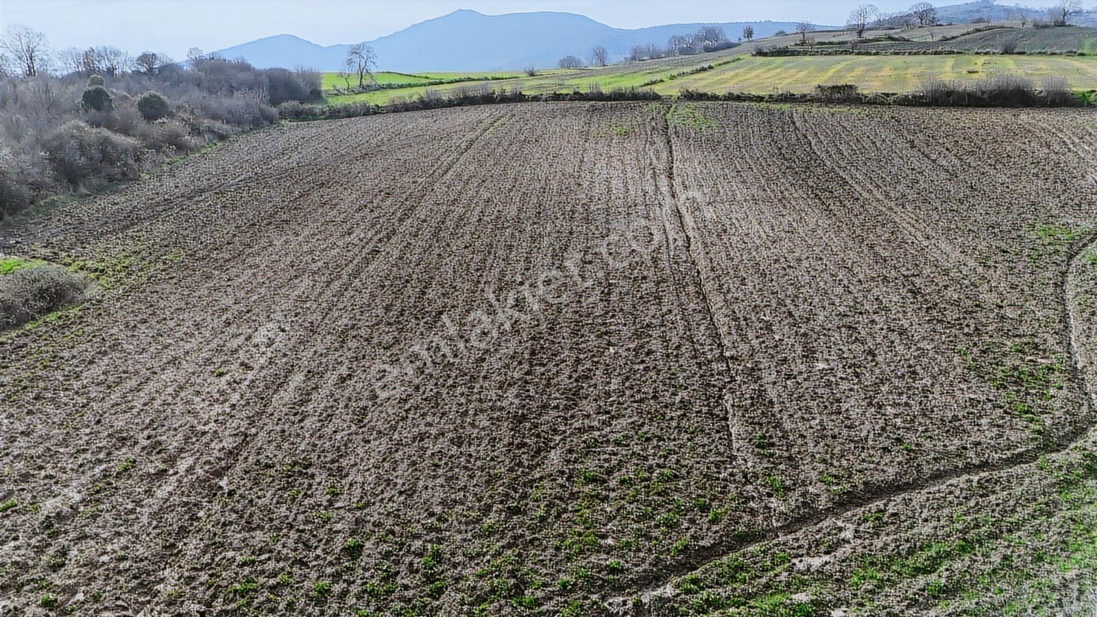 Yatırımlık 11.700 M² Tek Tapu Tarla, Köye 650 M Yatırımlık Tarla - Görsel 9