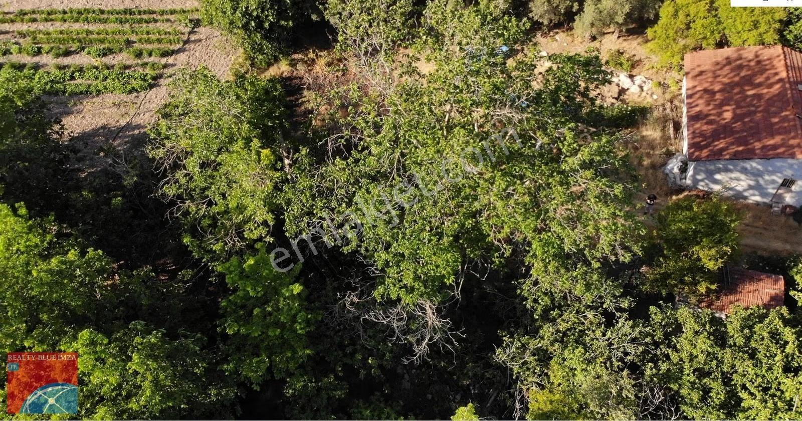 Bilecik Söğüt 352 M2 Yatırımlık Köy İçi Bahçe - Görsel 8